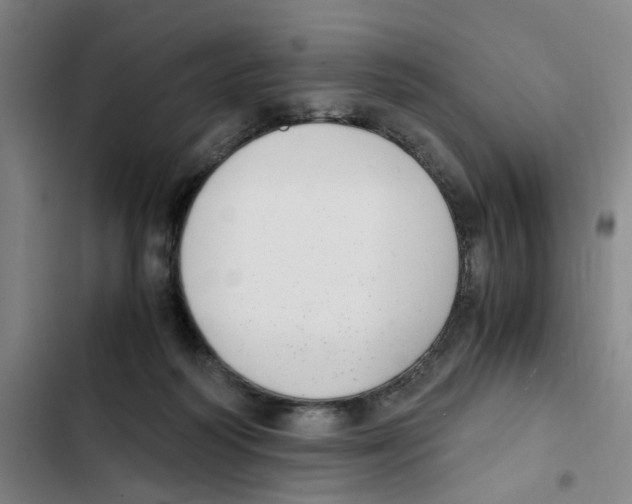 X0000102370218200808291257