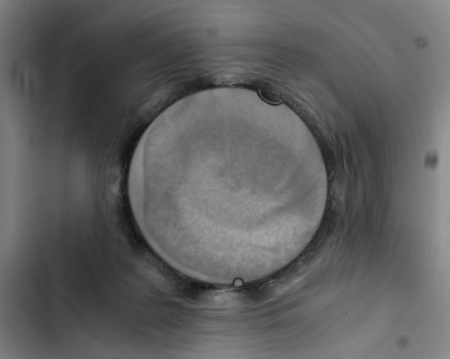 X0000102370219200808291256