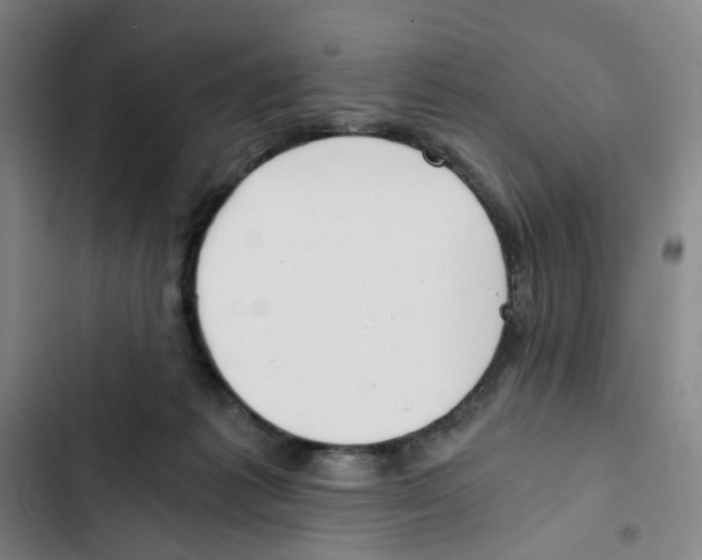 X0000102370221200808291256