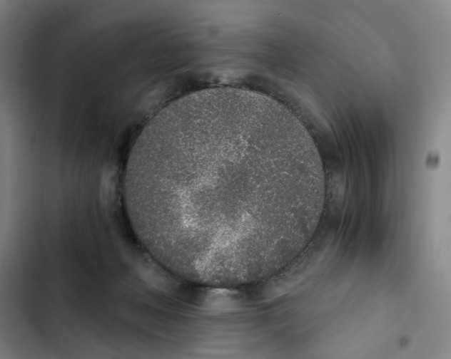 X0000102370222200808291256
