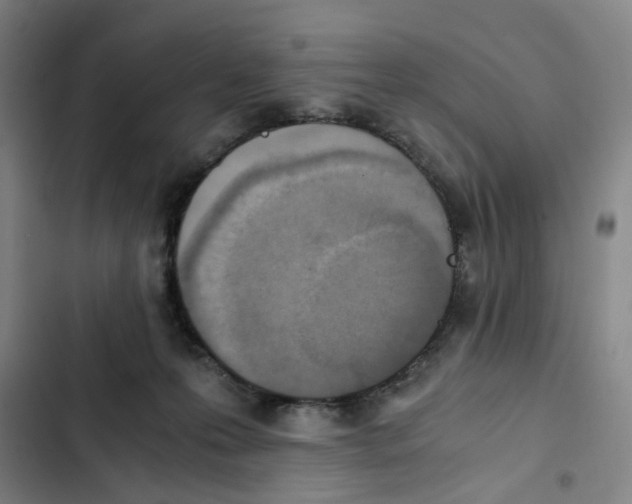 X0000102370223200808291256