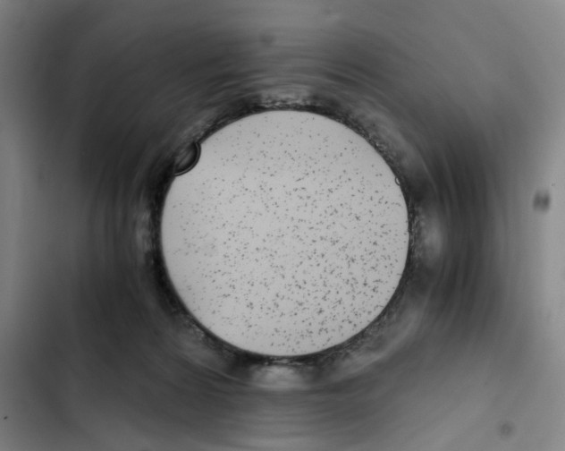 X0000102370224200808291256