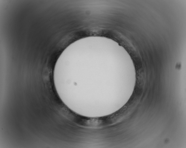 X0000102370225200808291256