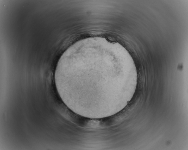 X0000102370227200808291256