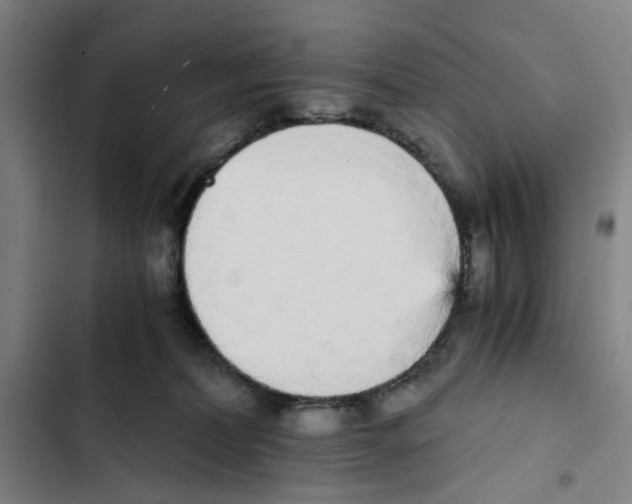 X0000102370228200808291256