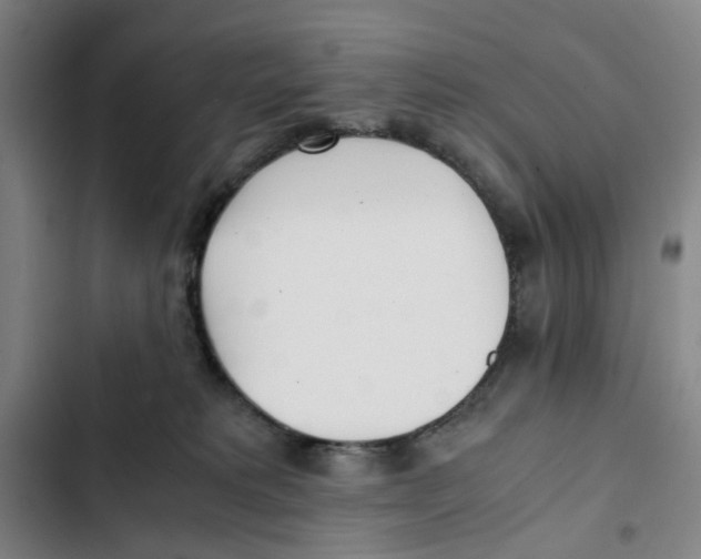 X0000102370229200808291256