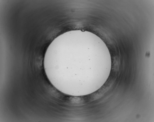 X0000102370230200808291256
