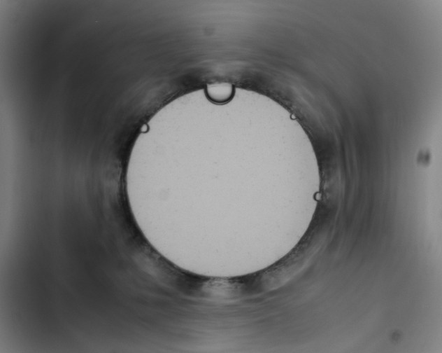 X0000102370231200808291256
