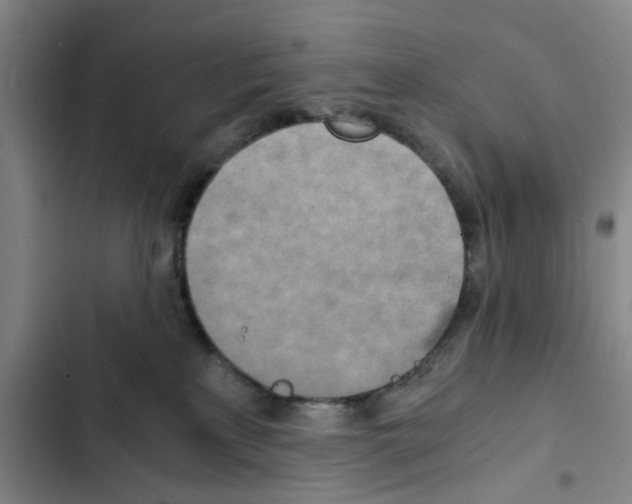 X0000102370233200808291256