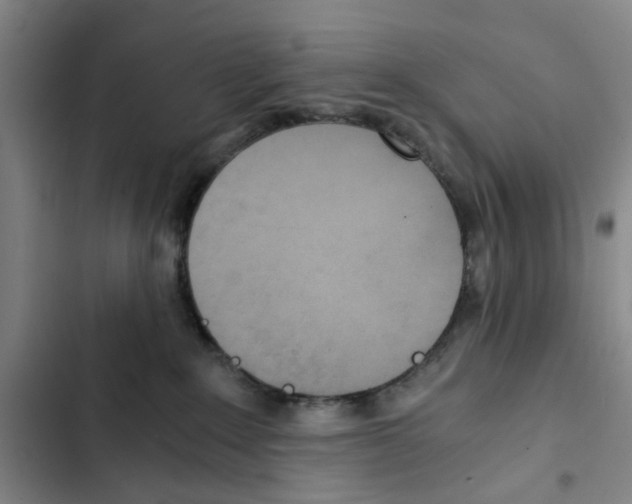 X0000102370235200808291256