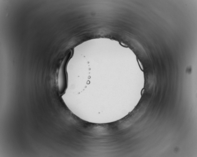 X0000102370236200808291256
