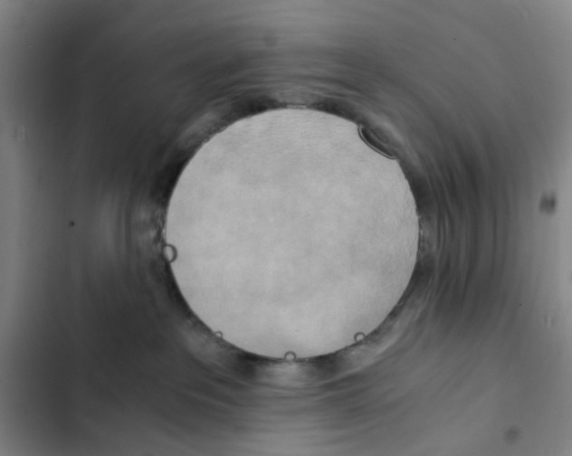 X0000102370237200808291256