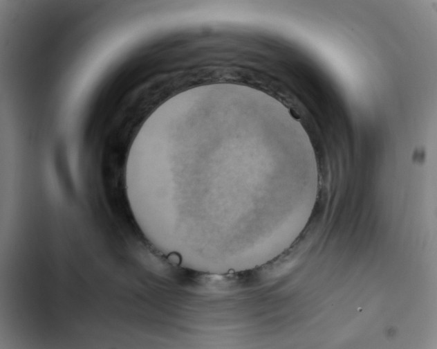 X0000102370239200808291256