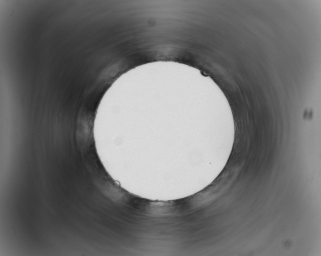 X0000102370240200808291256