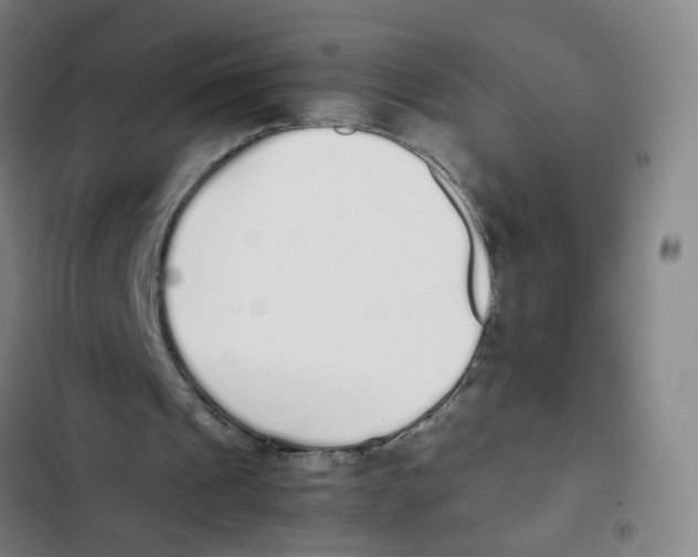 X0000102370241200808291256