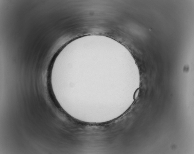 X0000102370242200808291256