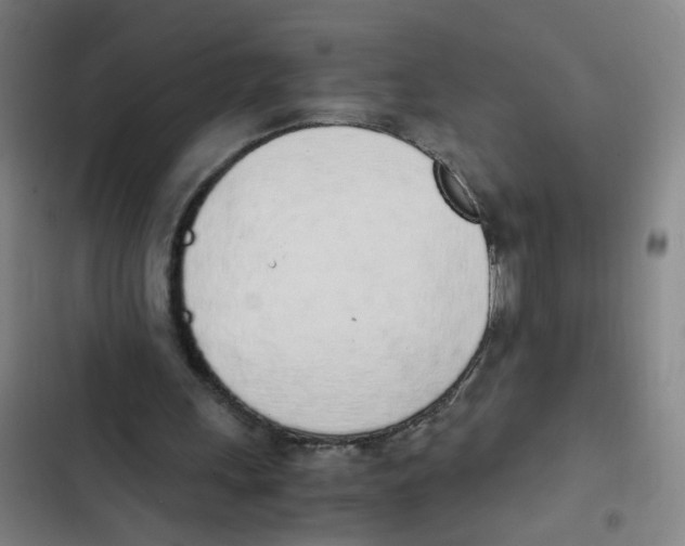 X0000102370243200808291256
