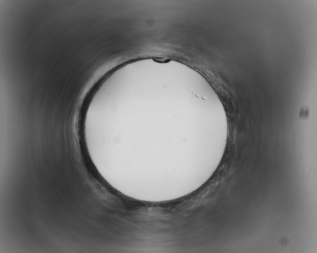 X0000102370244200808291256