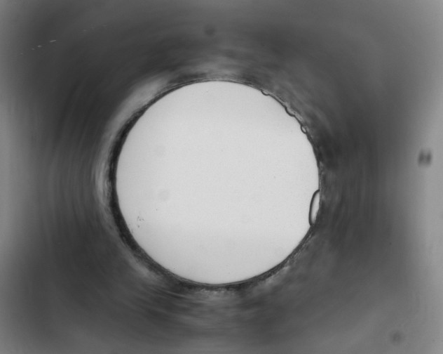 X0000102370245200808291256