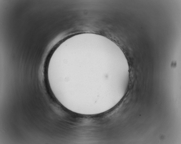 X0000102370246200808291256