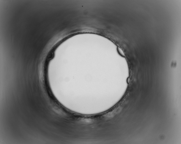 X0000102370247200808291256