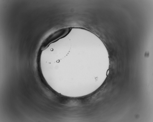 X0000102370248200808291256