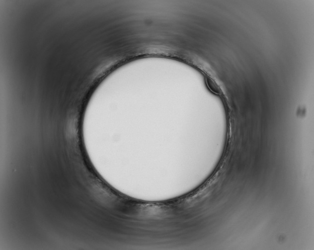 X0000102370249200808291256