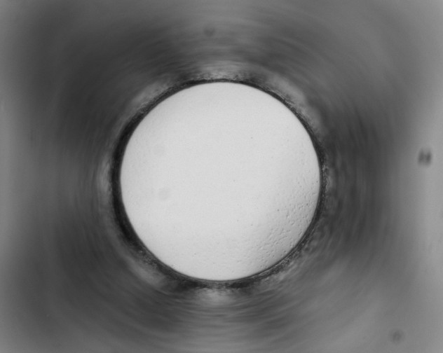 X0000102370250200808291256