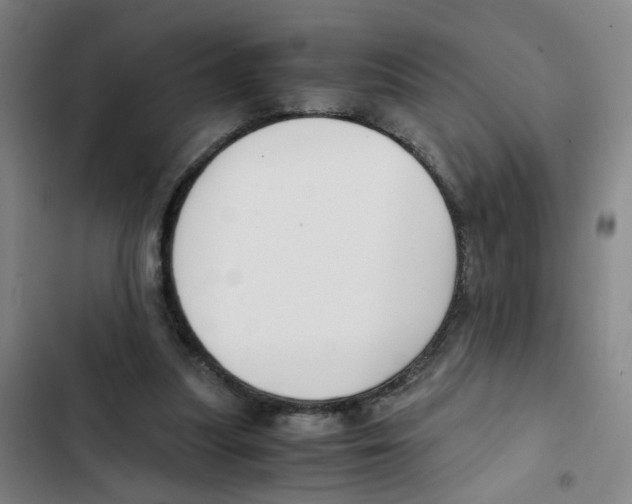 X0000102370251200808291256