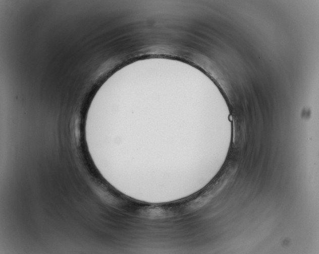 X0000102370253200808291256