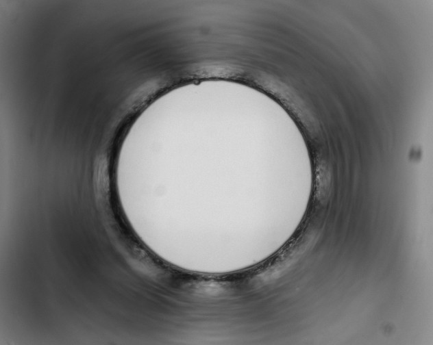 X0000102370254200808291256