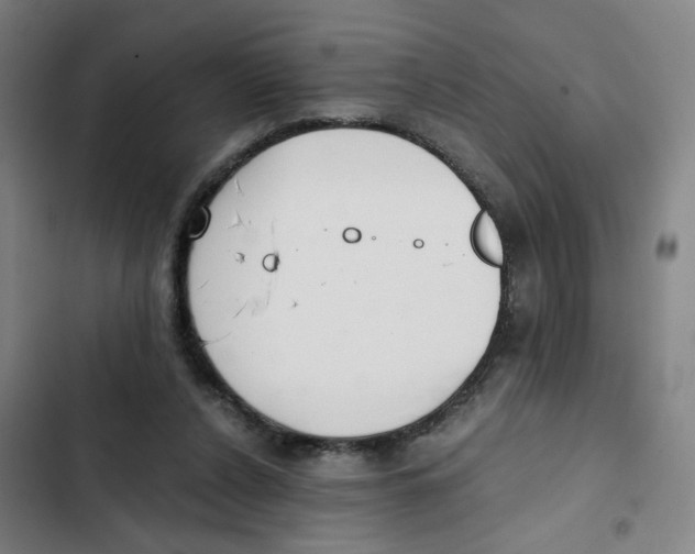 X0000102370256200808291256
