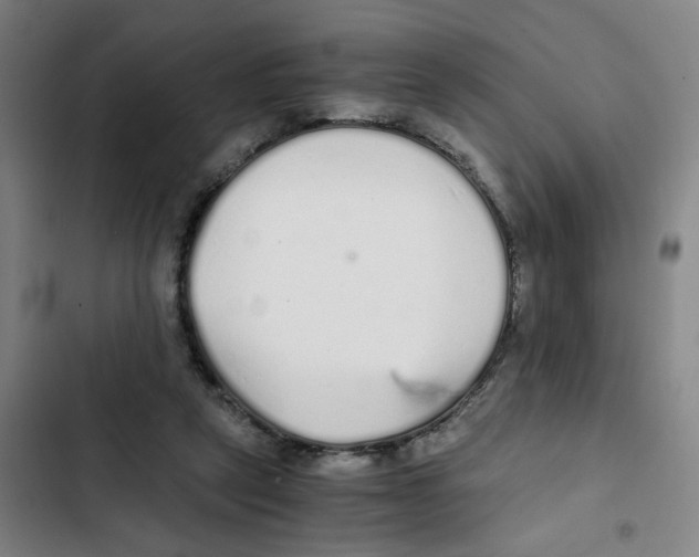 X0000102370257200808291256