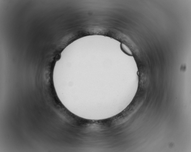X0000102370259200808291256