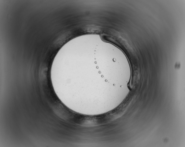X0000102370263200808291256