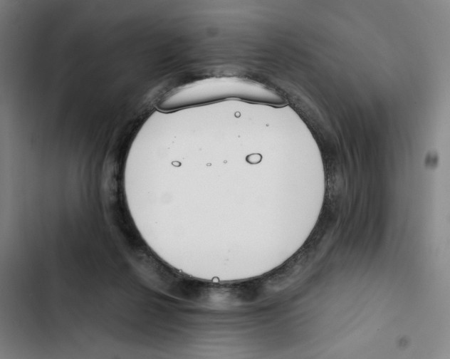 X0000102370264200808291256