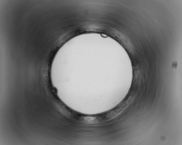 X0000102370265200808291256