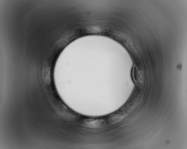 X0000102370267200808291256