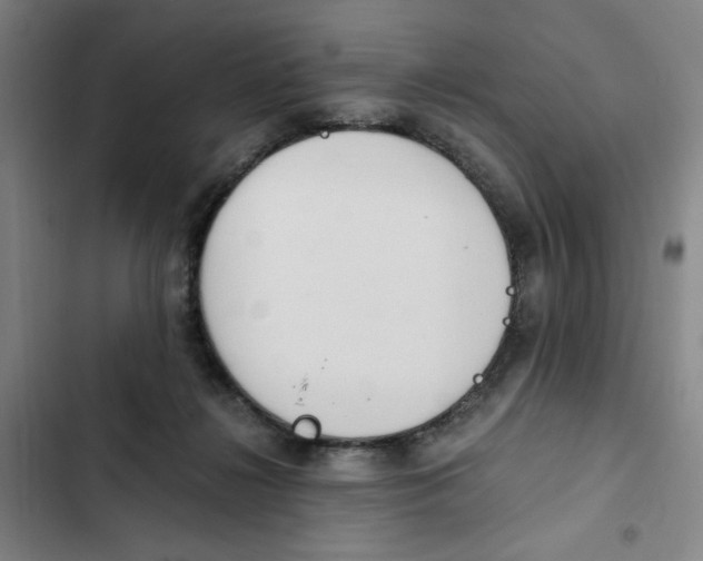 X0000102370268200808291256