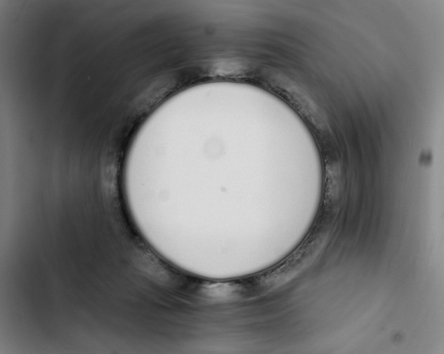X0000102370269200808291256
