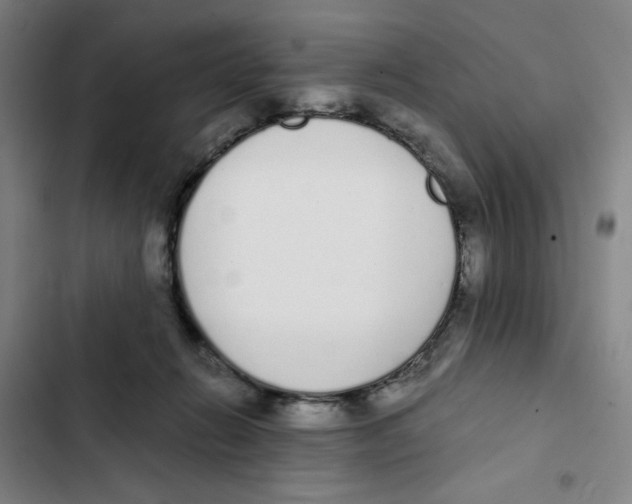 X0000102370270200808291256
