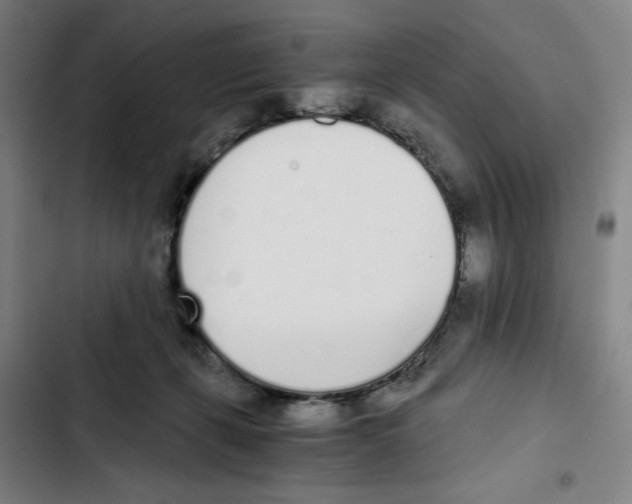 X0000102370271200808291256