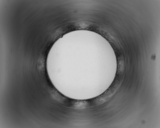 X0000102370274200808291256