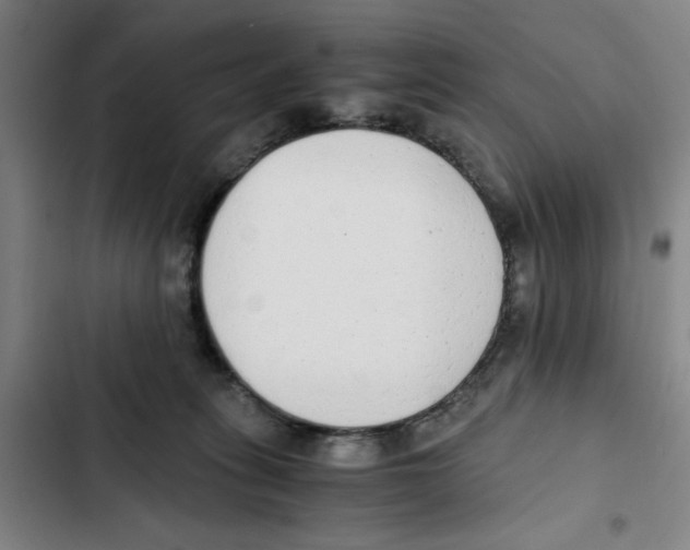 X0000102370275200808291256