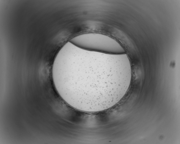 X0000102370276200808291256