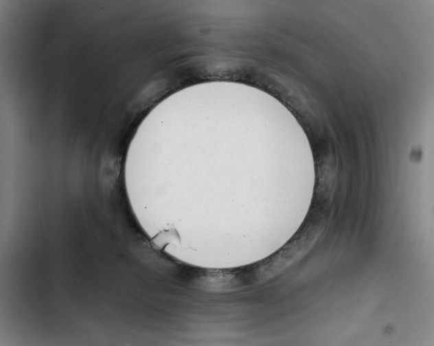 X0000102370278200808291256