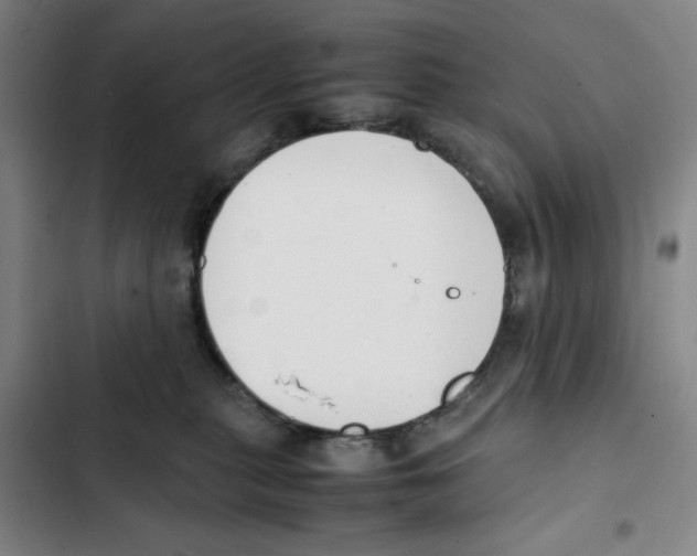 X0000102370279200808291256