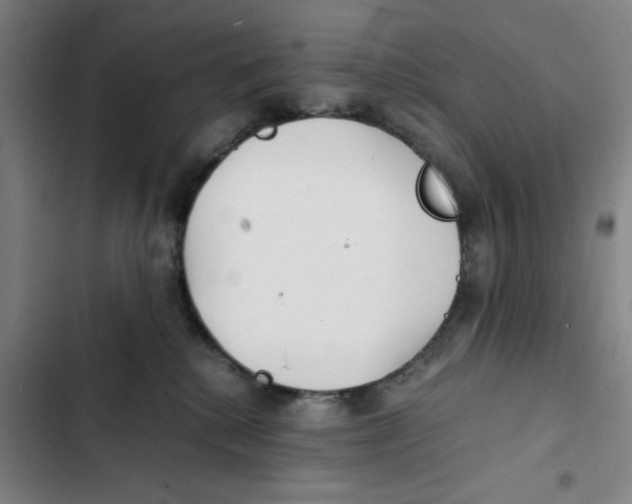 X0000102370280200808291256