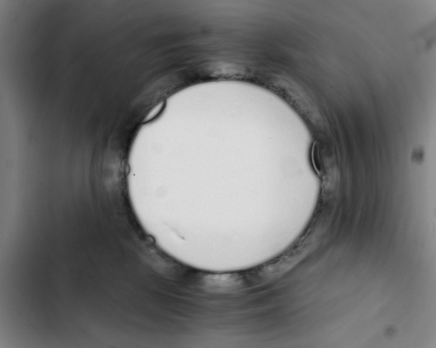 X0000102370281200808291256