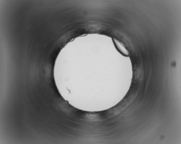X0000102370283200808291256